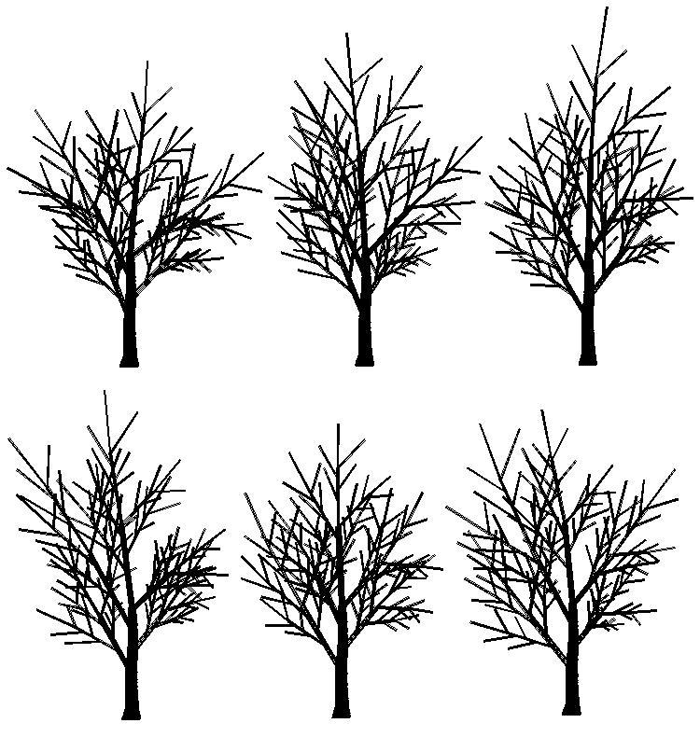 図２．乱数（ランダム）関数で木の「多様」の要素を作る